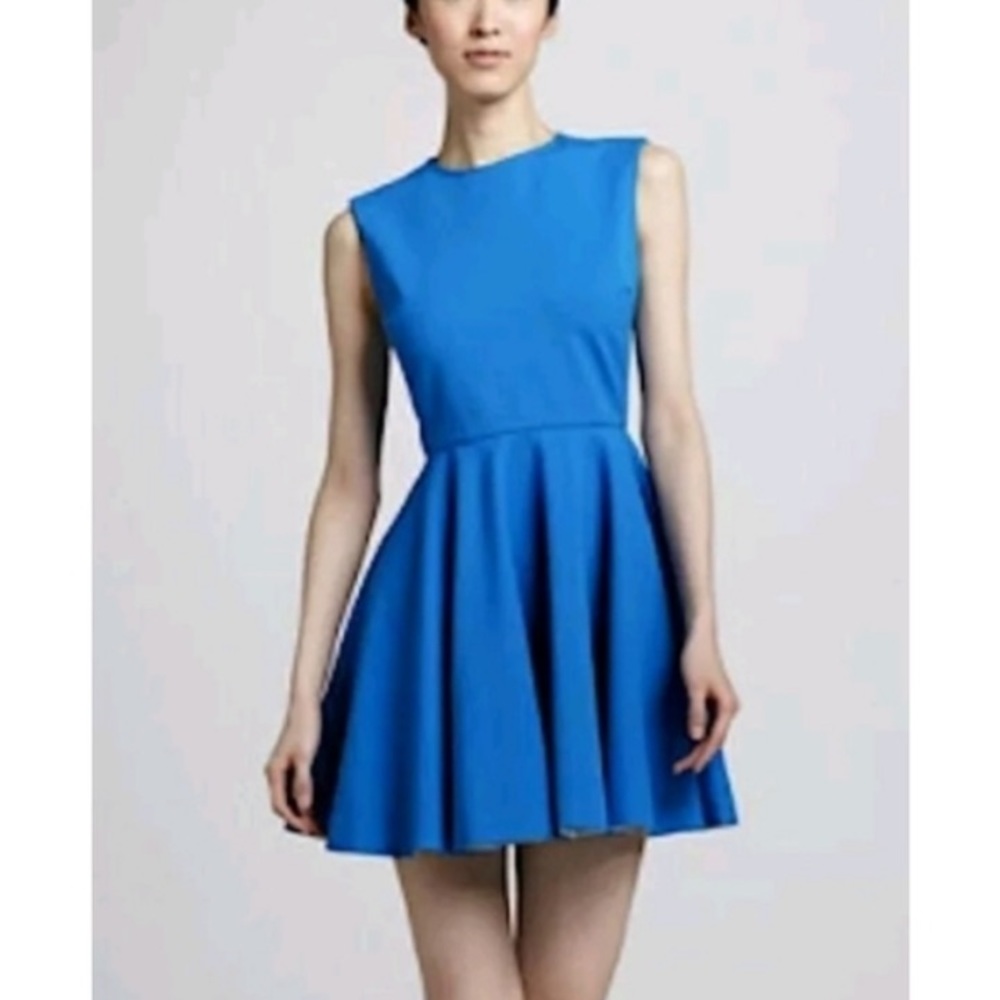 Diane Von Furstenberg Jeannie Sleeveless Crewneck Fit & Flare Skater Dre…